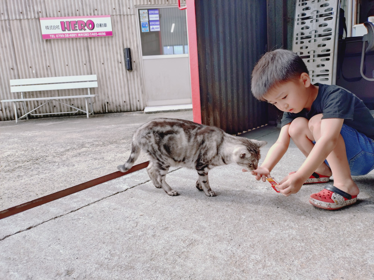 大家さん🐈と僕