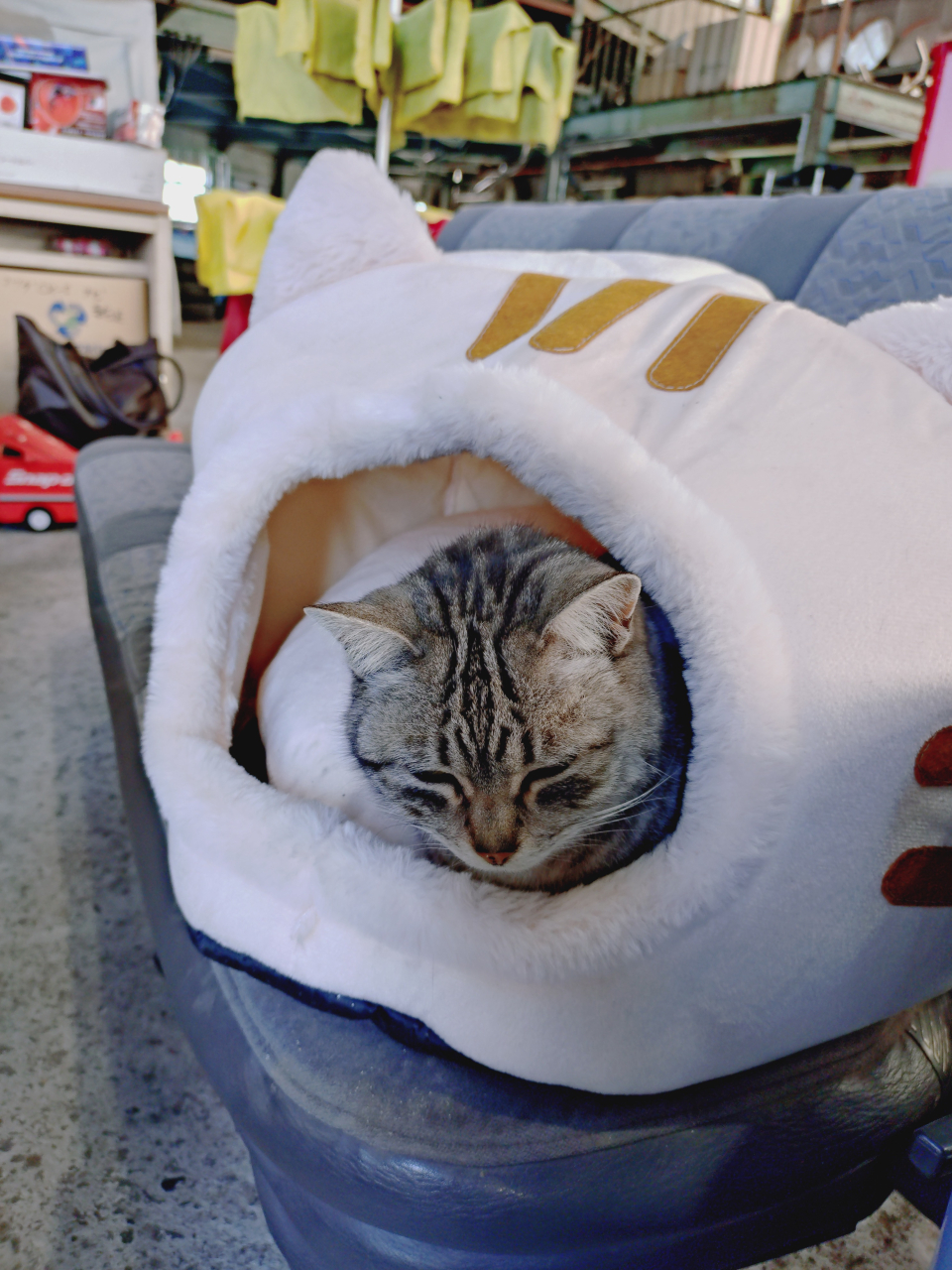 大家さん🐈と寝床２